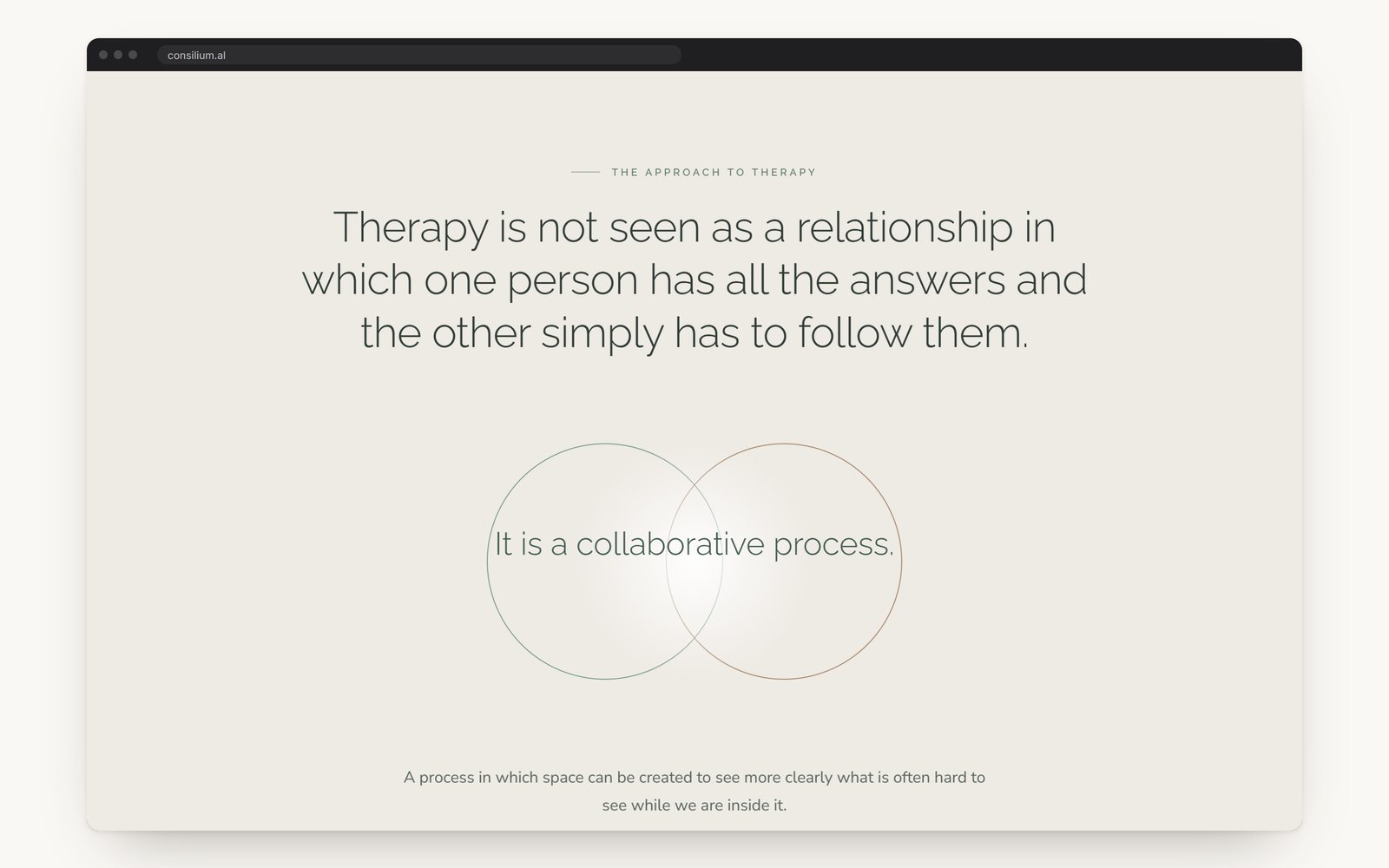 The approach: therapy as a collaborative process, drawn as two overlapping circles